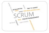 SCRUM